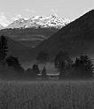 farmhouse and fog